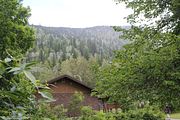 72 - Jasper to Sun Peaks - IMG_1320